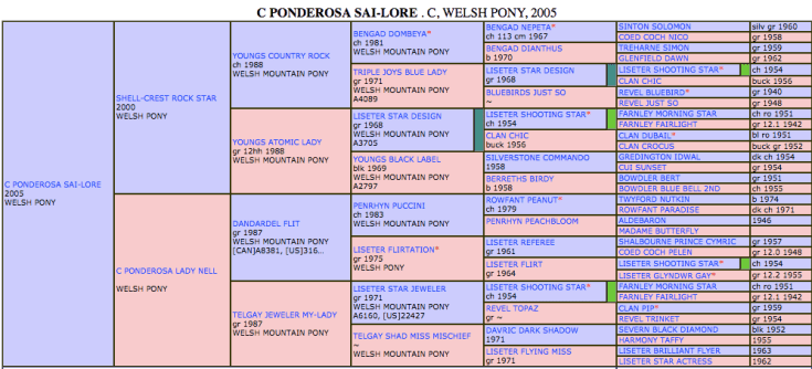 Screen Shot 2018-12-29 at 11.13.21 PM