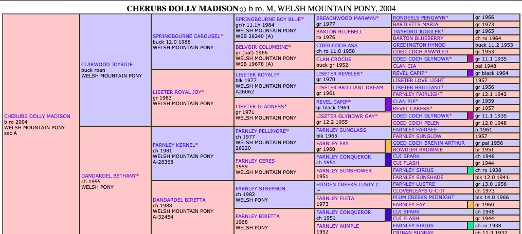 Screen Shot 2020-11-02 at 12.15.00 PM